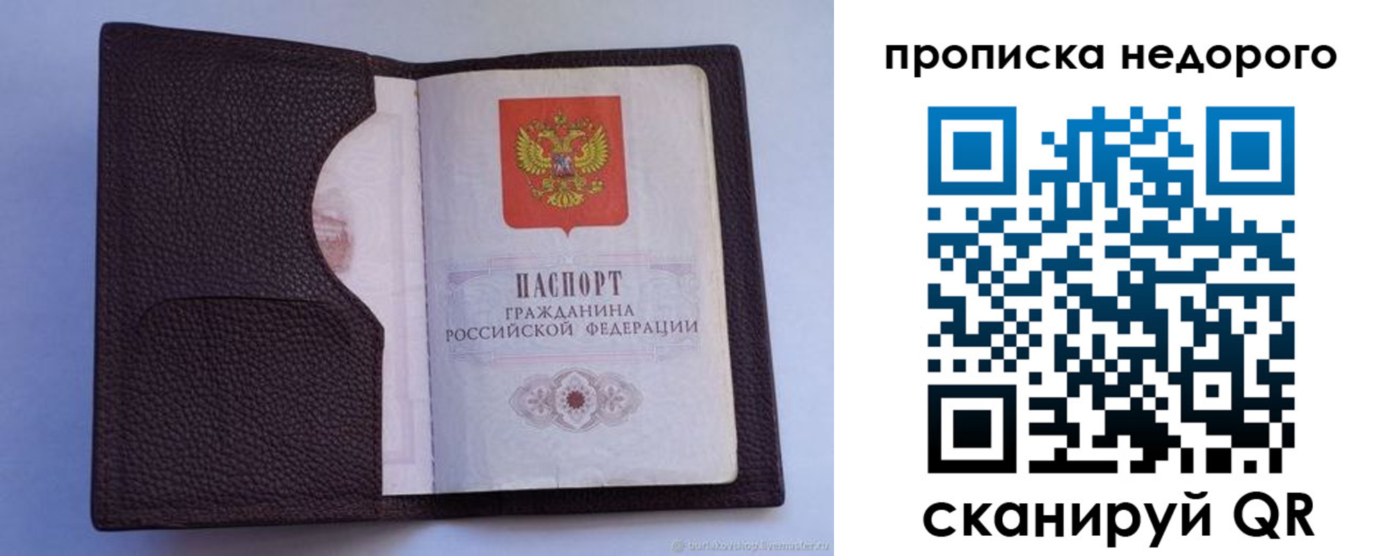 прописка законно в Светлограде
